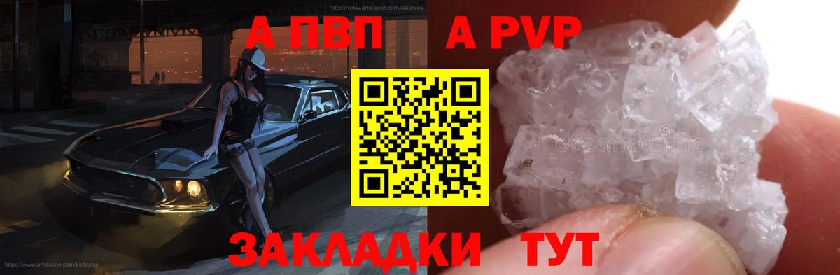 A PVP крисы CK Обь