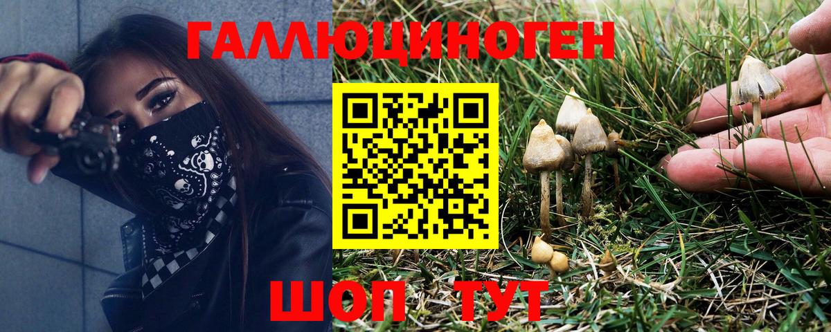 Обь  Псилоцибиновые грибы Magic Shrooms  Вход с VPN  Псилоцибиновые грибы MAGIC MUSHROOMS 